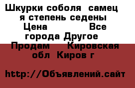 Шкурки соболя (самец) 1-я степень седены › Цена ­ 12 000 - Все города Другое » Продам   . Кировская обл.,Киров г.